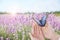 Woman holding beautiful morpho butterfly in lavender field, closeup