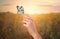 Woman holding beautiful rice paper butterfly in sunlit field, closeup