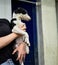 Woman holding a big black and white puppy in her hands after rescuing it