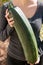 Woman is holding a big giant zucchini or courgette in the garden