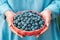 Woman holding blueberries on garden background. Rich blackberry harvest.