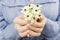 Woman holding bouquet of tiny white flowers (ornithogalum arabic