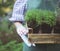 Woman holding a box with plants in her hands in garden center