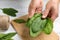 Woman holding broadleaf plantain above white wooden table, closeup