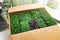 woman holding cardboard box full of microgreens