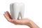 Woman holding ceramic model of tooth