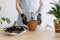 Woman holding ceramic pot of pink flower seedling