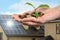 Woman holding coins and green sprout against house with installed solar panels on roof, closeup. Economic benefits of renewable