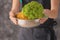 Woman holding colander with colorful cauliflowers, closeup