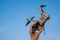 Woman holding crashed drone against blue sky.