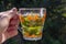 Woman holding a cup of herbal tea with lemon balm and sea buckthorn on the background of nature