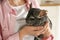 Woman holding cute chinchilla in room