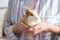 Woman holding cute small guinea pig, closeup