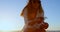 Woman holding dried plant in the beach 4k