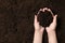 Woman holding fertile soil in hands, closeup. Gardening season