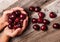 Woman is holding fresh cherries in hands on wood table