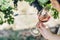 Woman holding glass of red wine in vineyard field. Wine tasting in outdoor winery