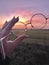 Woman holding glasses sunsets field view landscape purple yellow nature