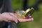 woman holding a golden compass in her hand during the day