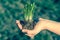 Woman holding growing plants in hand - retro style