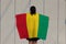 Woman holding Guinea flag on her shoulder and turn back on grey background