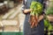 Woman holding harvested carrots at greenhouse