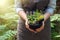 Woman holding in her hands a mortar of medicinal herbs. Herbalist woman gathering healing plants in forest