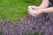 Woman holding in her hands a white mortar of lavender. Blossom lavender flower bed.