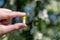 Woman holding in his hand a funny smiling pill among flowering trees in the garden. Seasonal Allergy. Spring time. Creative.