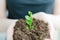 Woman holding loam with growing green flower.