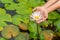 Woman holding lotus flower - waterlily