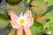 Woman holding lotus flower - waterlily