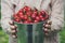 A woman is holding metal bucket with freshly picked cherries. A girl is holding a bucket with juicy ripe cherries