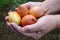 Woman holding a orange onion