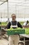 Woman holding organic bio lettuce crate