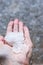 Woman is holding pieces  ice crystals of hail in springtime after hail storm