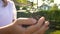 Woman holding plant tree sprout in slow motion.