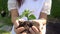 Woman holding plant tree sprout in slow motion.