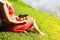 Woman is holding plate with fruit. Girl on green grass in pink vintage dress. Picnic near the river. Rustic summer flat lay.