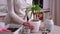 Woman holding Potted Dracaena house plant at home