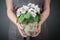 Woman holding a Potted Saintpaulia flower in her hands