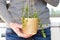 Woman holding a rare succulent plant in a DIY hanging twine pot, close up, wearing jeans and knitwear