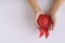 Woman holding a red 2nd place winners rosette