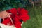 Woman holding a red pointsettia. Holiday Christmas concept