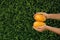 Woman holding ripe juicy mangos outdoors, closeup. Space for text