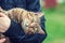 Woman holding a stray cat