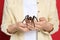 Woman holding striped knee tarantula on red background, closeup. Exotic pet