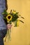 Woman holding Sunflowers