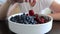 Woman holding sweet cherry by the stem and twisting it under the bowl, dish full of juicy and tasty berries in kitchen