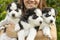 Woman holding three wonderful purebred husky puppies in her hands. Close up portrait of three small husky puppies